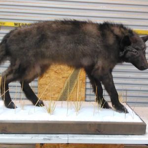 Meet your Posher, Hunter